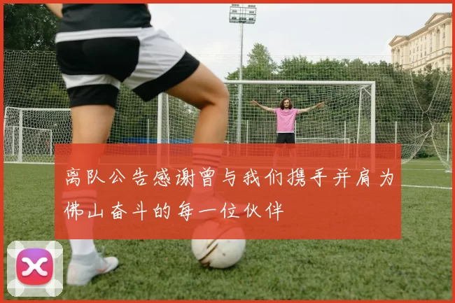 离队公告感谢曾与我们携手并肩为佛山奋斗的每一位伙伴