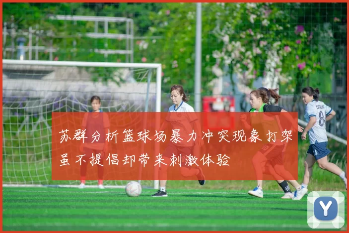 苏群分析篮球场暴力冲突现象打架虽不提倡却带来刺激体验